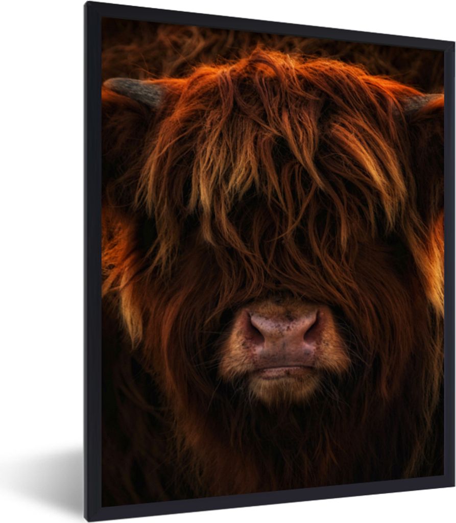 MuchoWow Gerahmtes Poster Schottischer Highlander - Kuh - Schwarz - Porträt 60x80 cm - Poster mit Schwarzem Bilderrahmen Wandposter Rahmen Foto ...