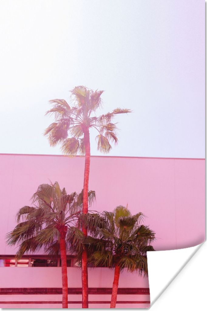 MuchoWow Poster Palme - Garten Poster - Rosa 60x90 cm - Wanddekoration