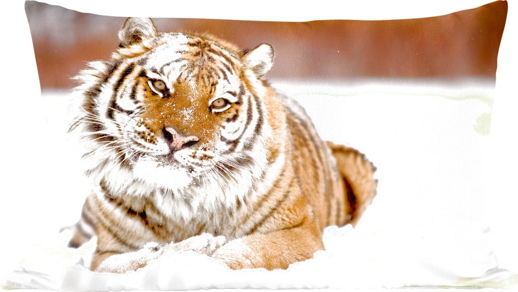 MuchoWow Zierkissen Sofakissen Wohnzimmer Dekokissen 50x30 cm Tiger - Schnee - Weiß - Wohnzimmerdekoration - Polster mit Photo