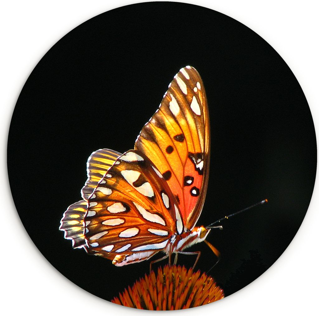 MuchoWow® - Schlafzimmer - Bilder - Der Kreis - Kunst für Produktbild 