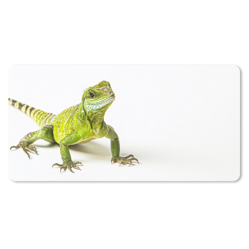 MuchoWow Schreibtischunterlage Eidechse - Reptil - Grün 80x40 cm - XXL Mauspad - Gaming Mauspad