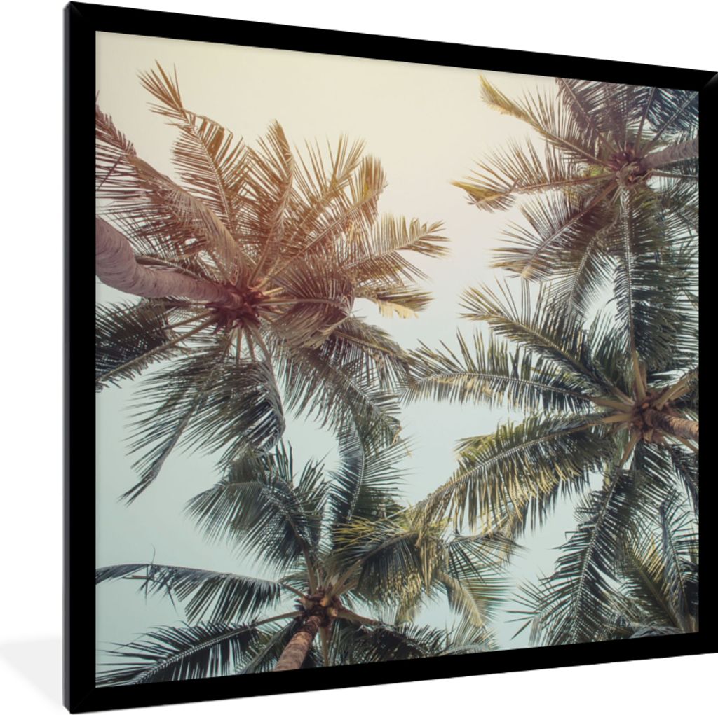 MuchoWow Gerahmtes Poster Palme - Sommer - Tropisch 40x40 cm - Poster mit Schwarzem Bilderrahmen Wandposter Rahmen Foto Bilder - Mit Rahmen - Wan...