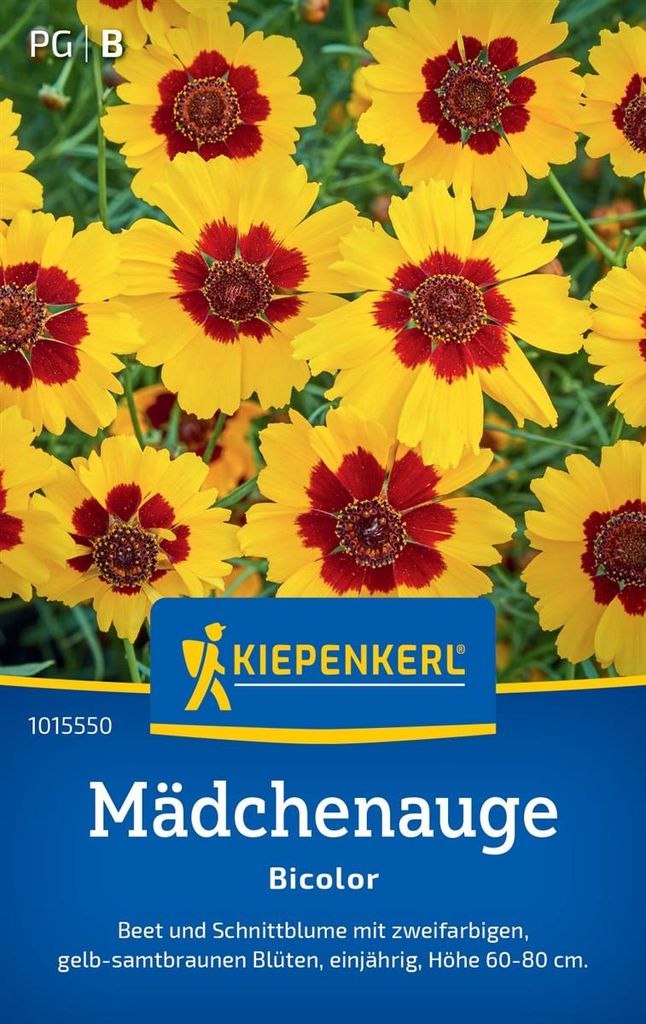 Kiepenkerl Mädchenaugensamen Bicolor Coreopsis tinctoria Produktbild 