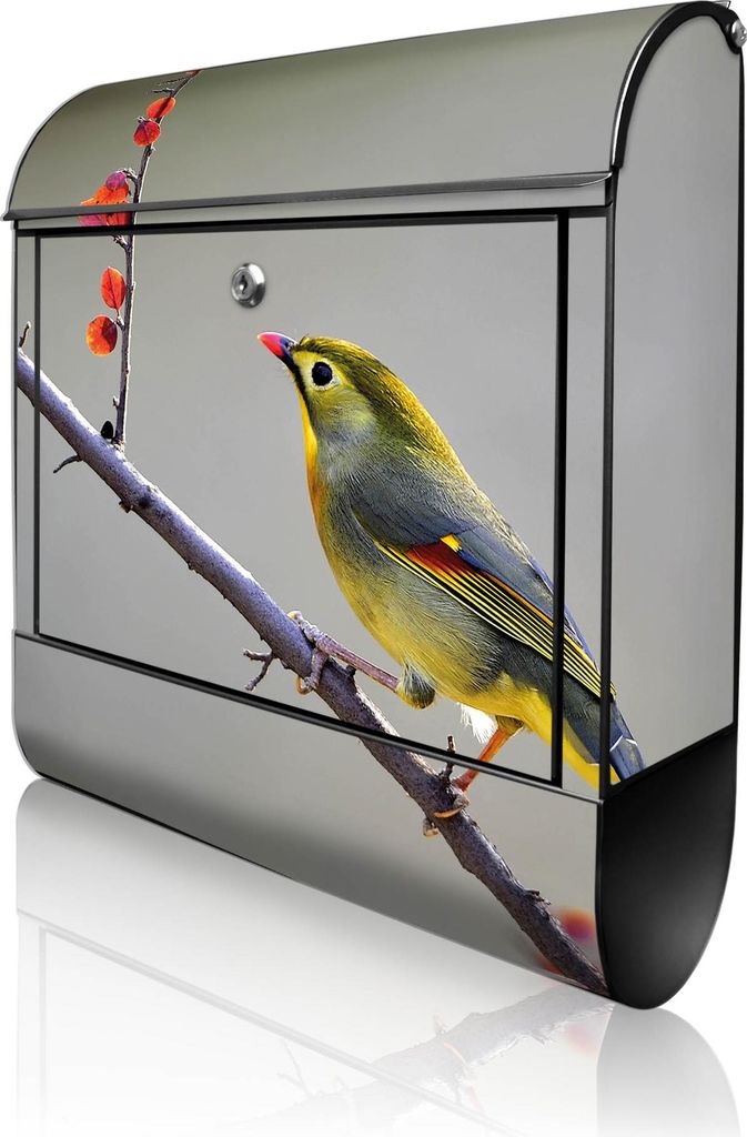 banjado Design Briefkasten Stahl schwarz mit Zeitungsfach pulverbeschichtet "Herbst Vogel" 38x46x12,5cm & 2 Schlüssel - Postkasten A4 Einwurf inkl...