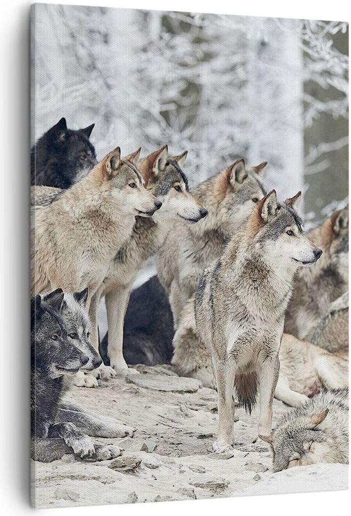 Bild auf Leinwand - Leinwandbild - Einteilig - Rudel Wölfe Winter - 50x70cm - Wand Bild - Wanddeko - Wandbilder - Leinwanddruck - Wanddekoration -...