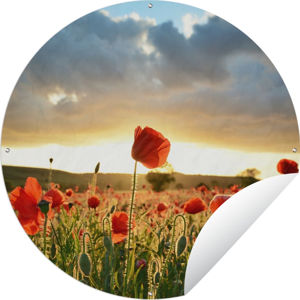 MuchoWow Gartenposter Outdoor-Poster Rund Bunter Himmel über vielen Mohnblumen Ø 150 cm Gartendeko Rundes Poster draußen