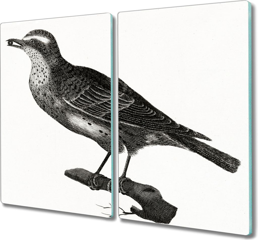 Coloray Hackbrett Küchenbrett Kochplattenabdeckung Schneidebrett Herdabdeckplatte 2x30x52 cm - Tiere Vögel