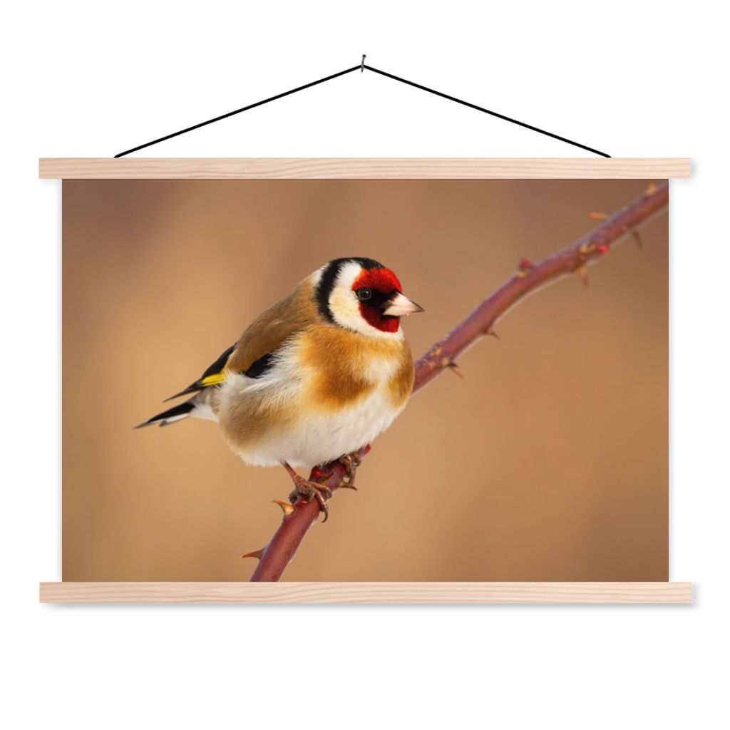 MuchoWow Textilposter Kropftaube - Vogel - Tiere 120x80 cm mit holzfarbenen Rahmen - Aufhängeset