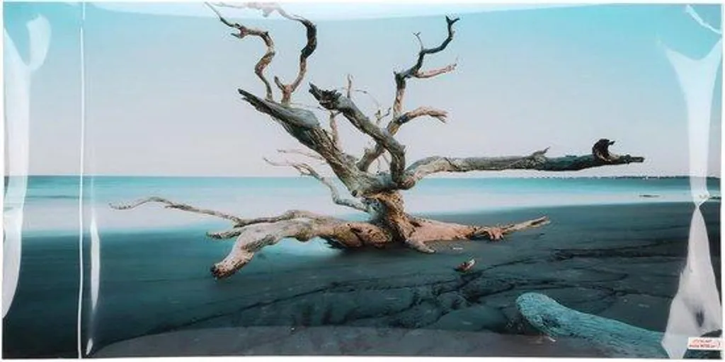 Fond d'aquarium imperméable paysage boisé autocollant effet 3D réaliste