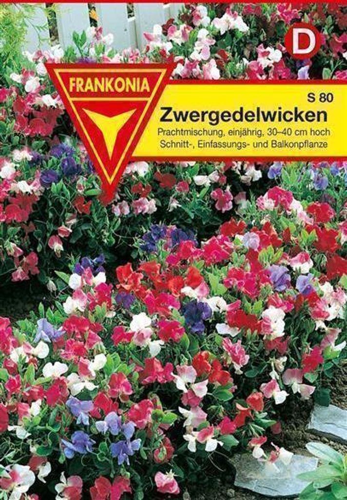 Zwergedelwicken