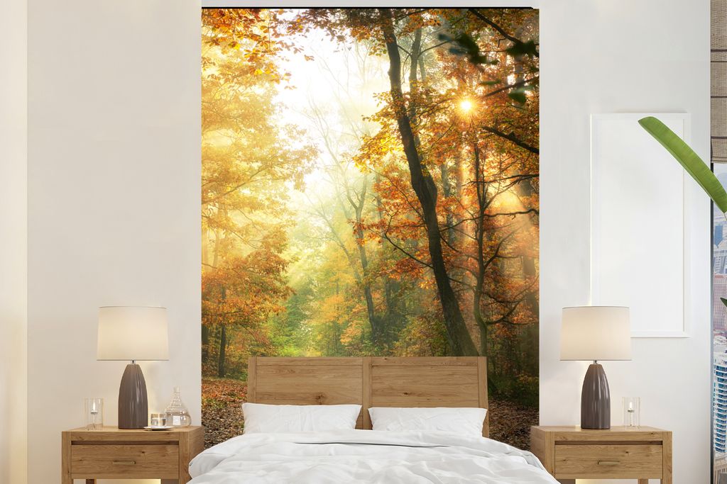 MuchoWow Fototapete für Wohnzimmer oder Schlafzimmer Wandtapete Vinyl Motivtapete Wald - Herbst - Sonne - Landschaft - Natur - Bäume - Laub - 2...