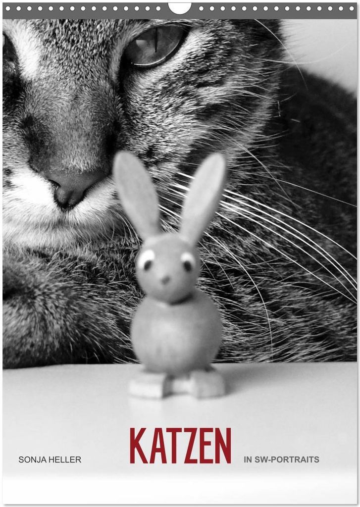Sonja Heller Katzen in SW-Portraits (Wandkalender 2026 DIN A3 hoch), CALVENDO Monatskalender