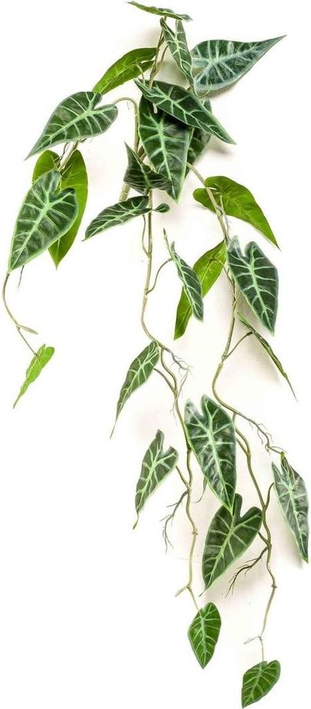 artplants.de Künstliche Alocasia sanderiana EXEVLO auf Produktbild 