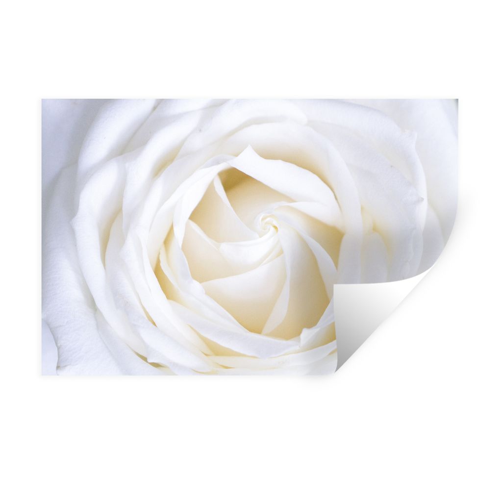 MuchoWow Wandtattoo Wandsticker Wandaufkleber Rose - Weiß - Blume 120x80 cm Selbstklebend und Repositionierbar - Selbstklebend - Fototapeten