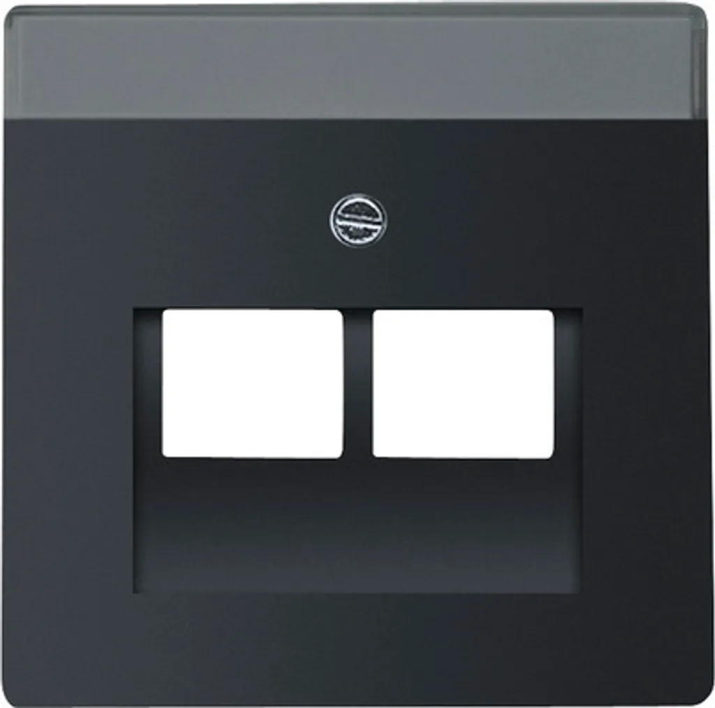 Plaque Centrale pour Prise UAE IAE 2 Sorties Future Linear Noir Mat - 2