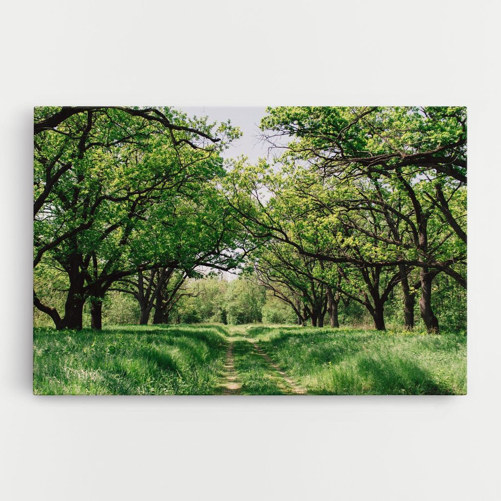ARTHUB Leinwandbild 20x30 cm, Forest Green Path | Wohnzimmerdekoration, Hängende Bilder, Wanddekoration, Heimdekoration, Landschaften, Wälder