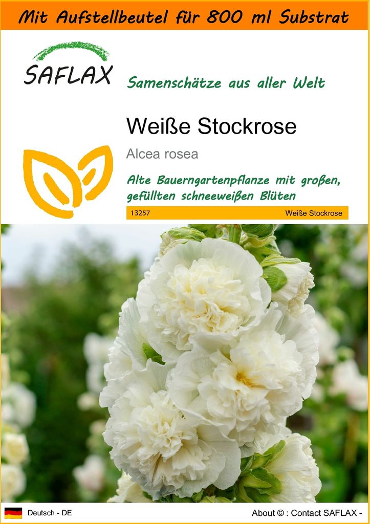 SAFLAX Garden in the bag - Weiße Stockrose - Alcea rosea - 100 Samen - Mit Anzuchtsubstrat im praktischen, selbst aufstellenden Beutel