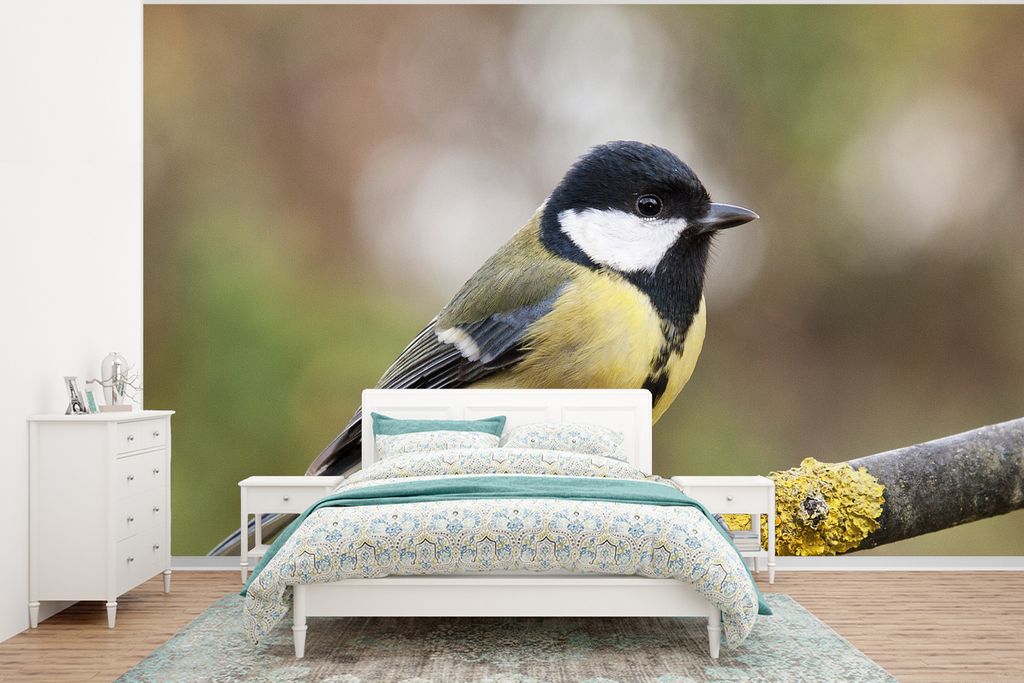 MuchoWow Fototapete für Wohnzimmer oder Schlafzimmer Wandtapete Vinyl Motivtapete Eine Kohlmeise auf einem Ast mit Moos - 400x300 cm - Papiertap...