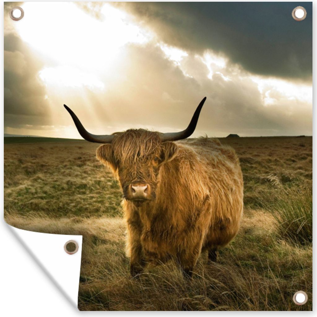 MuchoWow 100x100 cm Outdoor-Poster Gartendeko Sichtschutz Garten Poster für den Garten Schottischer Hochländer - Sonne - Gras