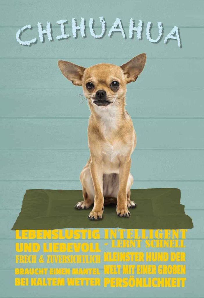 vianmo Holzschild 18x12 cm Chihuahua Hund lebenslustig Tier Haustier