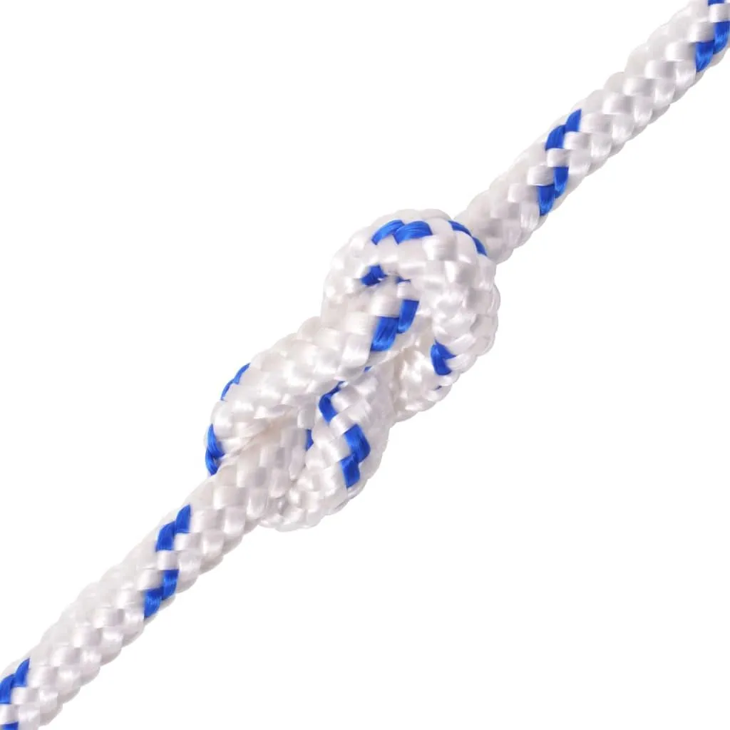 vidaXL Corde de bateau en polypropylène 8 mm 100 m blanc haute résistance