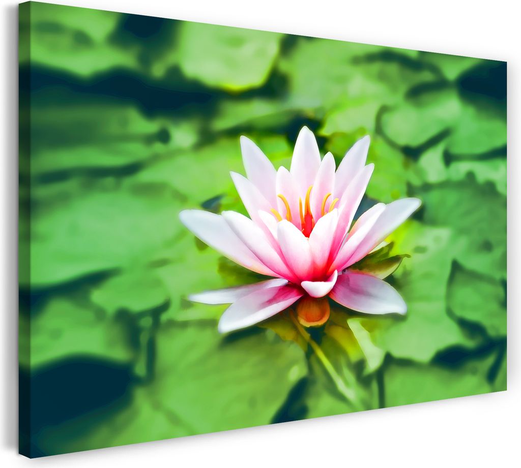 Leinwandbild (100x70cm): Blumenbilder Nahaufnahme Seerose weiß-rosa auf grünem Blättermeer, echter Holz-Keilrahmen inkl. Aufhänger, handgeferti...