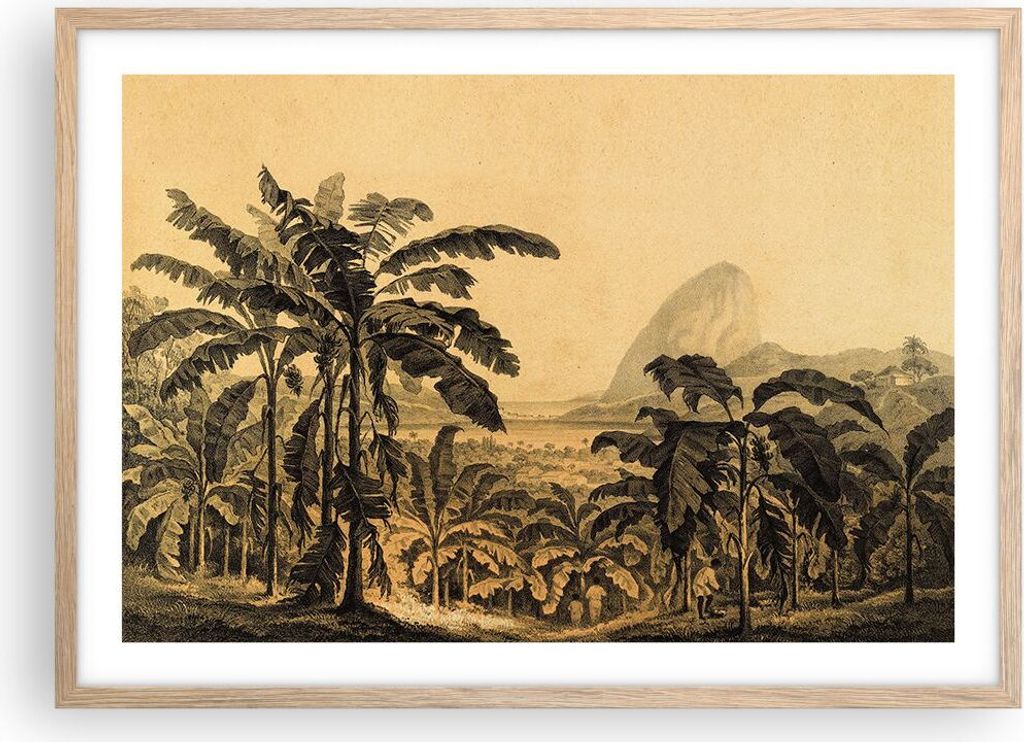 Gerahmtes Poster - Rahmen in heller Eiche - Palmen Wald Regnerisch - 70x50 cm - Wand Bild - Wanddeko - Wandbilder - Kunstposter - Wandposter - Bild...