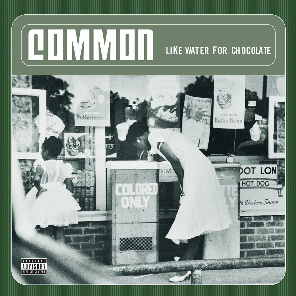 Vinyle Common Like Water For Chocolate 2 LP 180g - Édition Double Album
