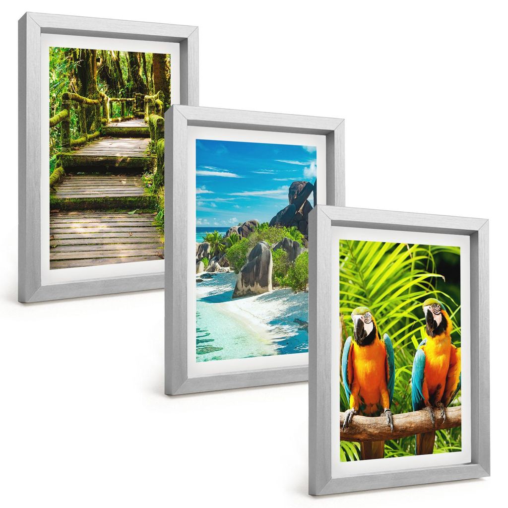 Bilder Set 3-teilig im silbergerahmten Rahmen – Wandbilder 3 Stück – gerahmte Poster für Wohnzimmer, Schlafzimmer und Flur – 20x30 cm – T...