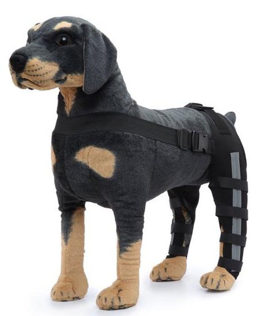 Honden-Achterpoten-Orthese, stabile Unterstützung für beide Hinterbeine, geeignet für Knieinstabilität.