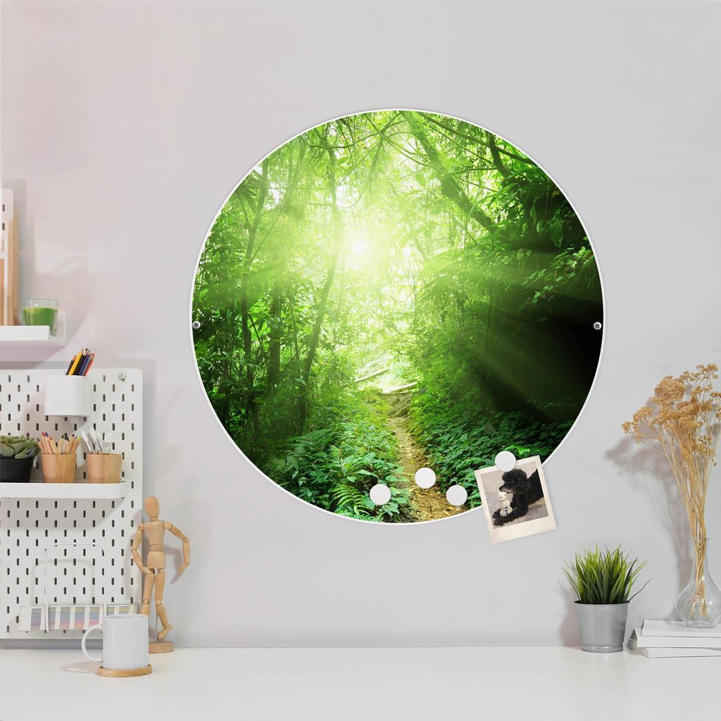Design Stahlmagnettafel Weiß Rund 47cm Dschungel Malaysia