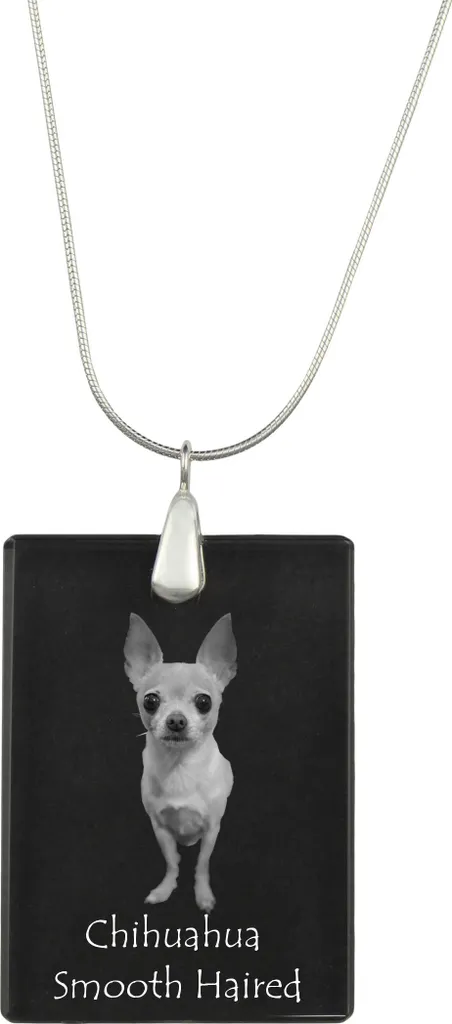 Chihuahua a pelo lungo - Ciondolo in cristallo con cane, collana in argento con foto, ciondolo personalizzato del marchio Art-Dog