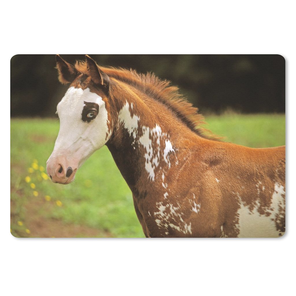 MuchoWow Schreibtischunterlage Pferd - Weiß - Braun 60x40 cm - XXL Mauspad - Großes Mauspad
