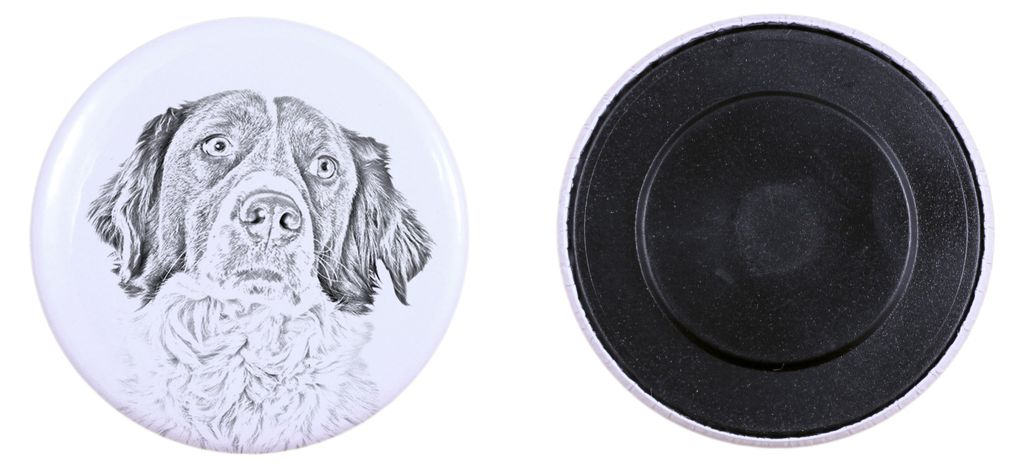 Französischer Spaniel, Epagneul Français Magnet mit einem Hundepfotenabdruck, außergewöhnlich leicht, starker Magnet, handgefertigtes Produkt d...
