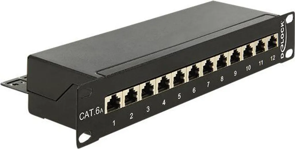 DeLOCK 43310 Patch Panel 10 Pollici 12 Porte Cat.6A - Facile e Solido