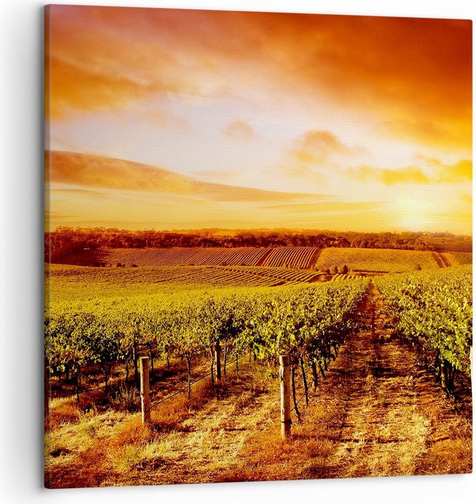 Bild auf Leinwand - Leinwandbild - Weinberg Aussicht Landschaft - 50x50cm - Wand Bild - Wanddeko - Leinwanddruck - Bilder - Kunstdruck - Wanddekora...