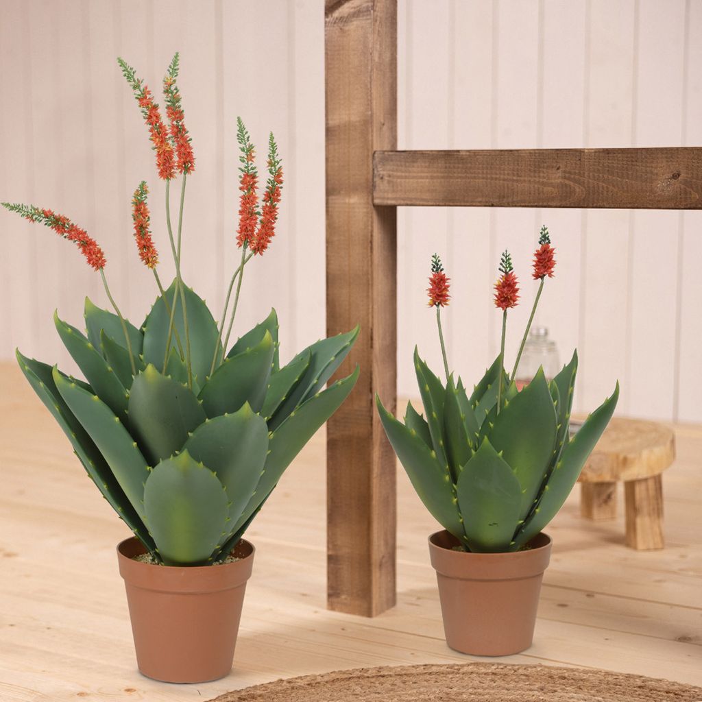 Gilde Agave mit roten Blüten grün, rot 99262
