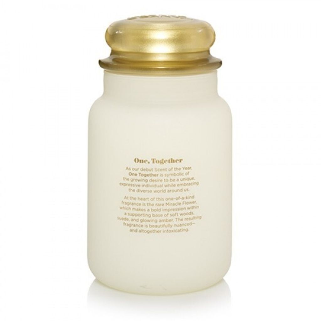 Yankee Candle Vôňa roka 2019 One Together vonná sviečka Obrázok produktu 