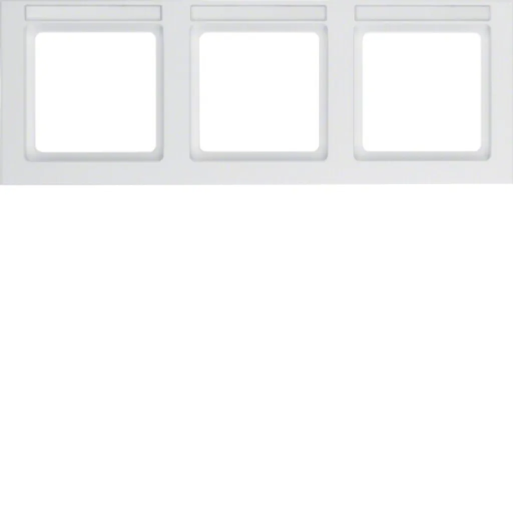 Berker 10236099 Cadre avec Champ d'Inscription Blanc Polaire Berker Q.3