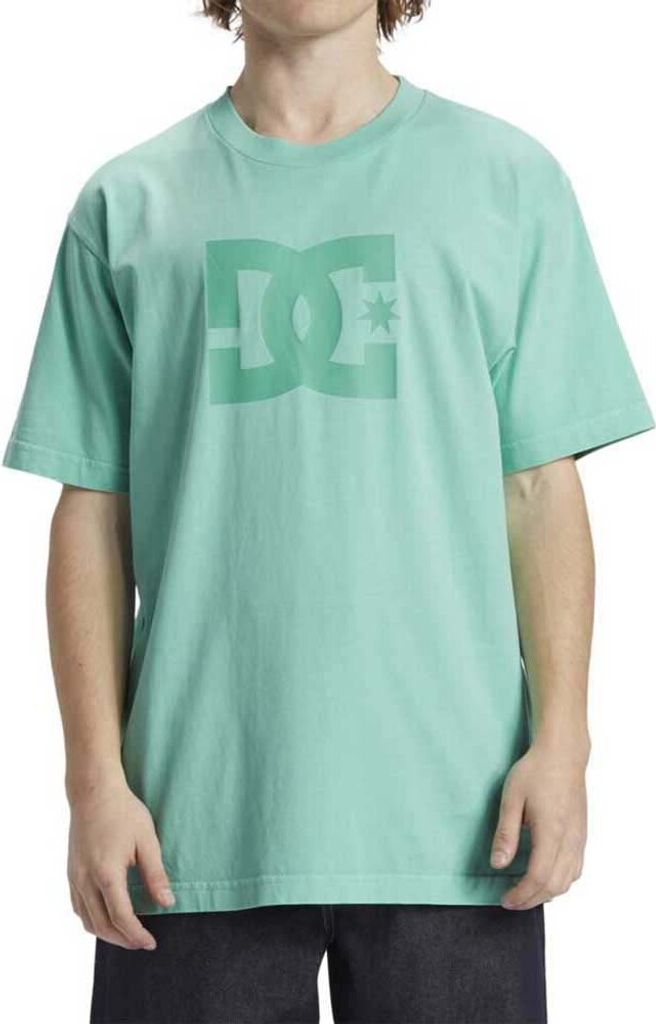 Dc Shoes Dcstar Pigment Kurzarm-t-shirt Grün M Mann Grün M
