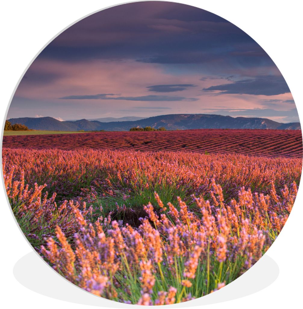 MuchoWow Rundes Wandbild - Runde Bilder Frankreich - Lavendel - Abend Ø 60 cm Kreis Wanddekoration Kunststoff - Wandkreis - Wandschmuck - Wand K...