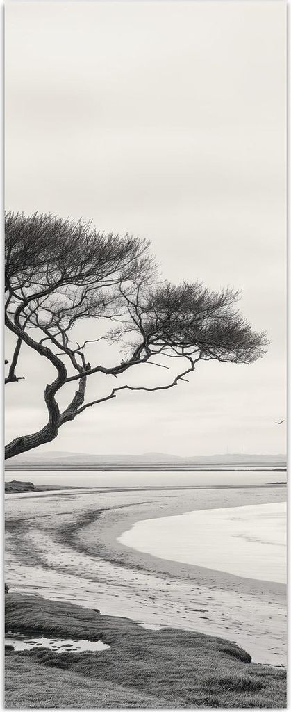 Glasbild 60x150cm in XXL für Wohnzimmer, Schlafzimmer Motiv Einsamer Baum am Meer