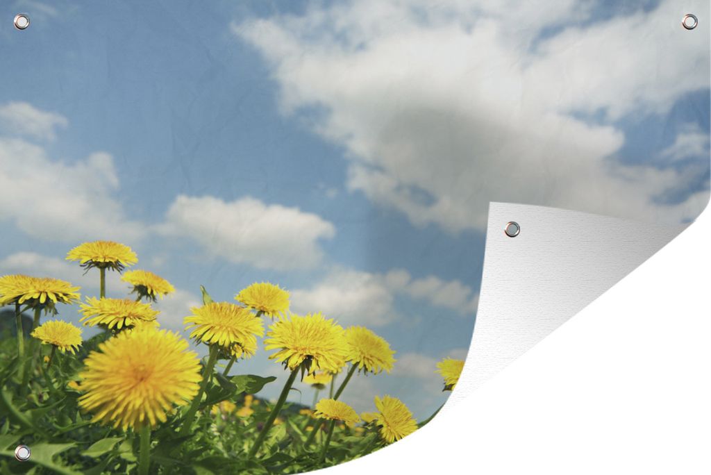 MuchoWow 60x40 cm Outdoor-Poster Gartendeko Sichtschutz Garten Poster für den Garten Wolken - Löwenzahn - Frühling