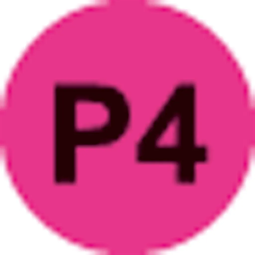 Dahle PS 140: Proteggi il Tuo Futuro con il Distruggi Documenti P4