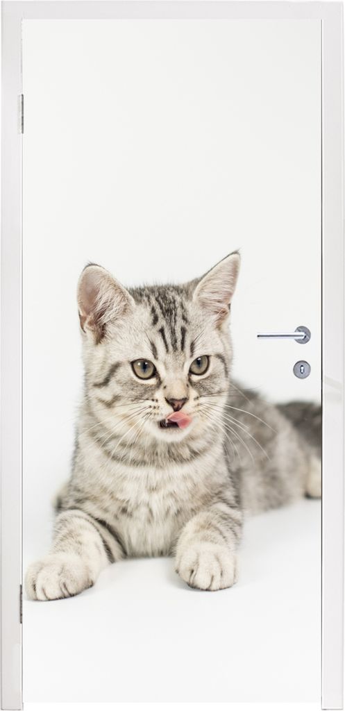 MuchoWow Türtapete Selbstklebende Türfolie Kitten - Weiß - Sohle - Mädchen - Kinder - Jungen - Kind 95x215 cm Türposter Türaufkleber Klebef...