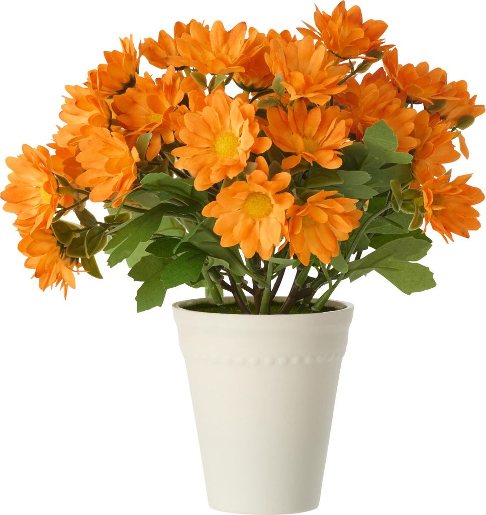 Margerite pvc orange