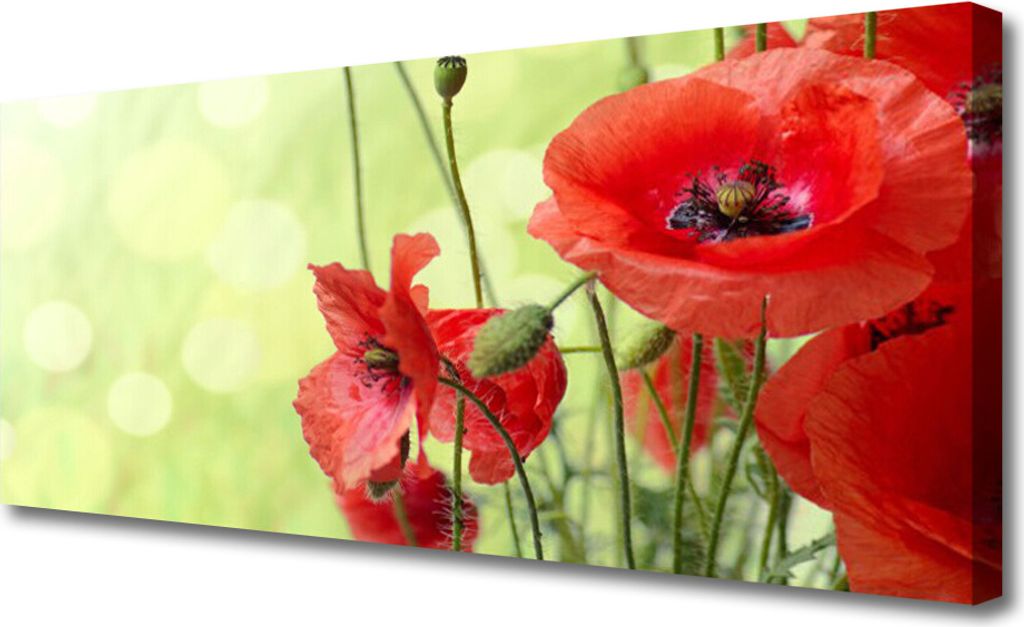 Tulup Leinwand-Bilder 125x50 Wandbild Canvas Kunstdruck Mohnblumen Pflanzen