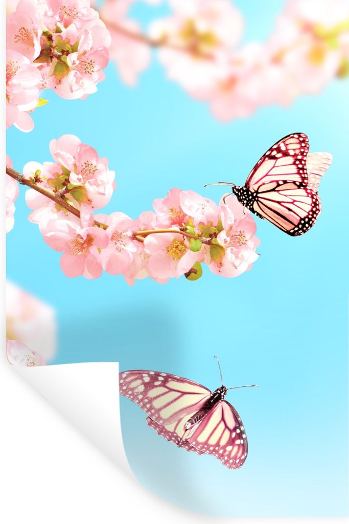 MuchoWow Wandtattoo Wandsticker Wandaufkleber Schmetterlinge - Baum - Blumen 40x60 cm Selbstklebend und Repositionierbar - Wierderverwendbar - Se...