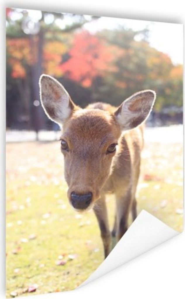 MuchoWow Poster Hirsche - Baby - Bäume 60x90 cm - Wanddekoration