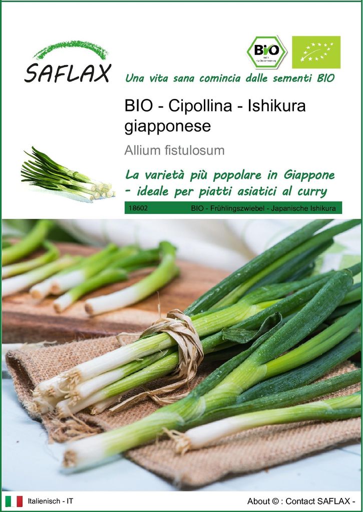 SAFLAX  -- Cipollina - Ishikura giapponese - 150 semi - Immagine del prodotto 